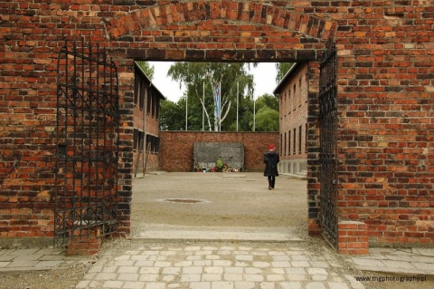 Auschwitz 03